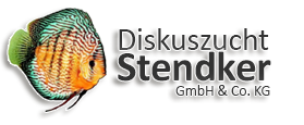 stendker logo